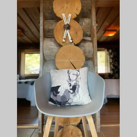 Villa View At The Slopes In, Family & Bike Park, National Park, Hike Trails - Lapland Ruka