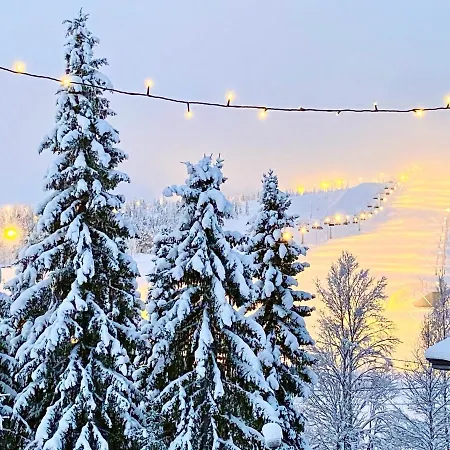 View At The Slopes In, Family & Bike Park, National Park, Hike Trails - Lapland Huvilat