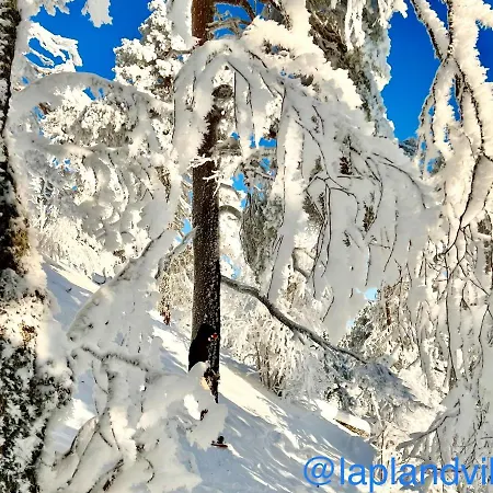 View At The Slopes In, Family & Bike Park, National Park, Hike Trails - Lapland Ruka