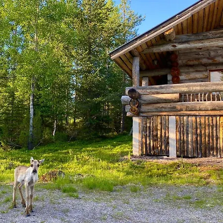 View At The Slopes In, Family & Bike Park, National Park, Hike Trails - Lapland * Ruka