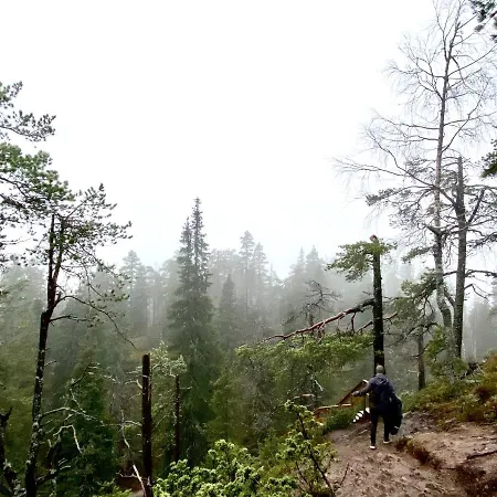 View At The Slopes In, Family & Bike Park, National Park, Hike Trails - Lapland Villa Ruka