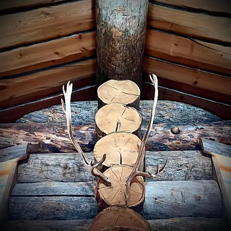 View At The Slopes In, Family & Bike Park, National Park, Hike Trails - Lapland فيلة *